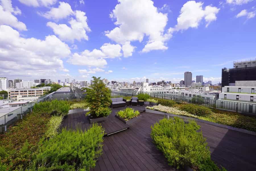 【周りに高い建物が少なく、7階なので素晴らしい景色が広がります】 - ザ・パークハビオ新宿 屋上スペースの写真